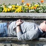 Frühling auf der Mainau