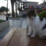 Haiko_Ottmann_Istanbul_Januar_2016 – 23