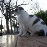 Haiko_Ottmann_Istanbul_Januar_2016 – 24