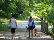 Lösungen für das Klima: Wie Kommunen in Zeiten der Energiewende ihre Aufgaben meistern