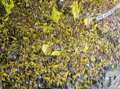 Rabona casino: Evolvierende Live-Wettmöglichkeiten