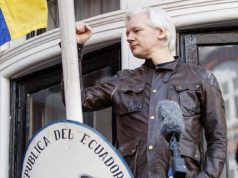 Julian Assange: The Six Billion Dollar Man