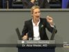 Tesla-Chef Elon Musk lobt Alicia Weidel (AfD)