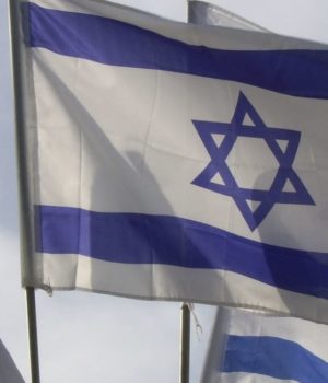 Boykott: Israelischer Landwirtschaft droht ein „Kollaps“