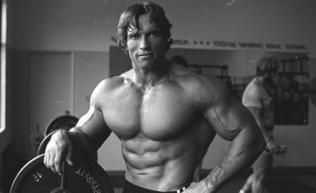 Schwarzenegger Jung : Schwarzenegger en 1994 : son "rêve ...