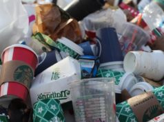 Turkey to Ban Single-Use Plastics by the End of the Year