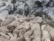 Ereignisse von 1915: Zahllose muslimische Opfer