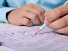 Einbürgerungen: Sprachschule soll gegen Geldzahlungen Prüfungen manipuliert haben