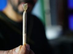 Polizei Gelsenkirchen rät Fußball-Fans zu Cannabiskonsum