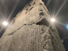 History of Science: Comparing Turkish and „Germanic“ runes