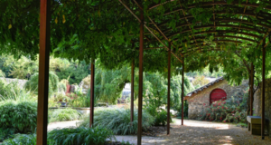 Update für den Garten: Wenn dein Außenbereich smarter ist als dein Wohnzimmer