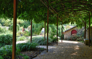 Update für den Garten: Wenn dein Außenbereich smarter ist als dein Wohnzimmer