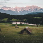 schwarzwald.wandern.nex24.pexels