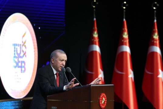 WHO zeichnet Erdogan für Einsatz für Palästinenser aus