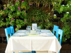 Rakı – Warum die türkische Trinkkultur weltweit einzigartig ist