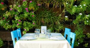 Rakı – Warum die türkische Trinkkultur weltweit einzigartig ist