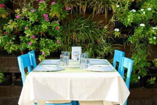 Rakı – Warum die türkische Trinkkultur weltweit einzigartig ist