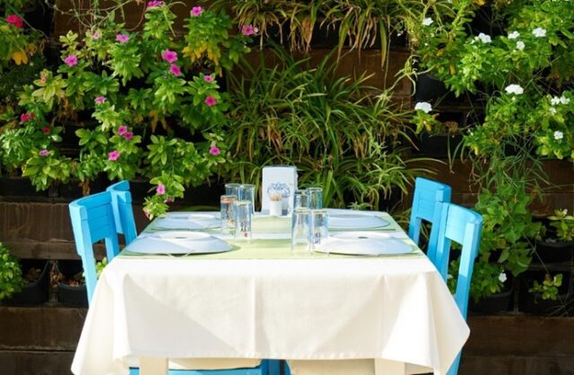 raki.vodka.turkey.istanbul.nex24.pixa