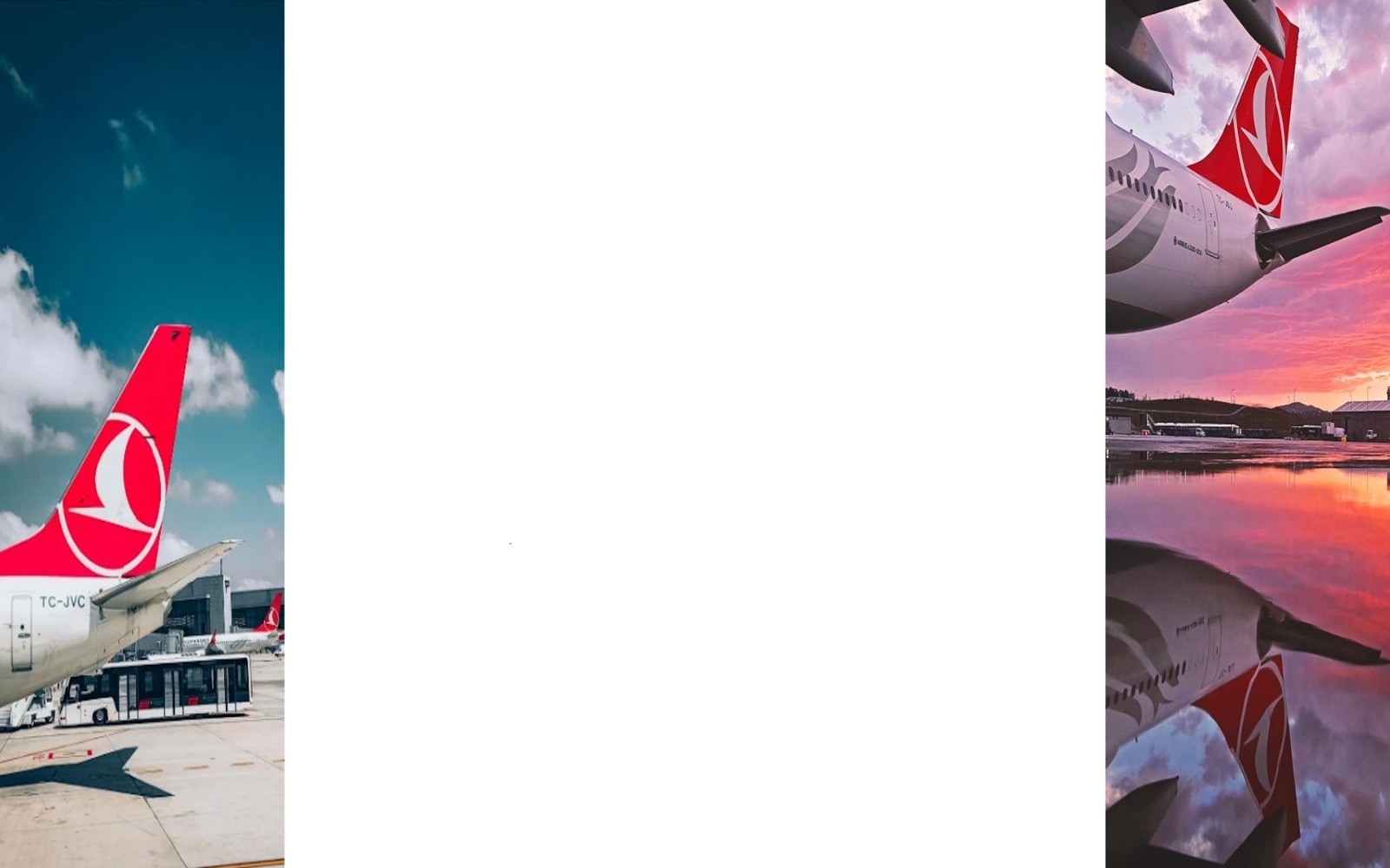 WhatsApp Image 2026-02-19 at 01.25.44