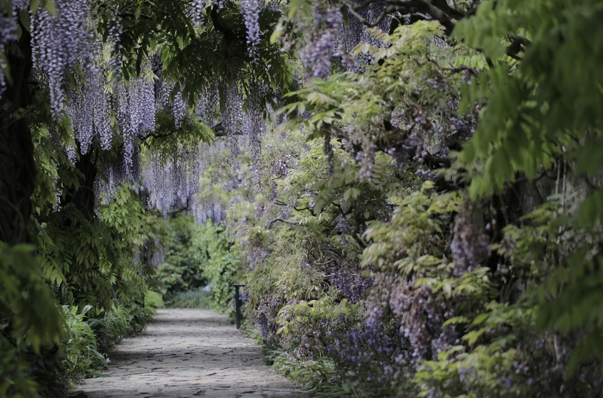 <b><span style='color:#bc2929;font-size:16px;'>Gartentipps <br></span>Welcher Gartenbaum wächst auf welchem Boden am besten</b>