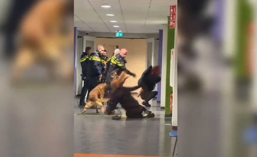 <b><span style='color:#bc2929;font-size:16px;'>Utrecht <br></span>Niederlande: Polizist wirft hochschwangere Syrerin zu Boden — Video löst internationale Empörung aus</b>