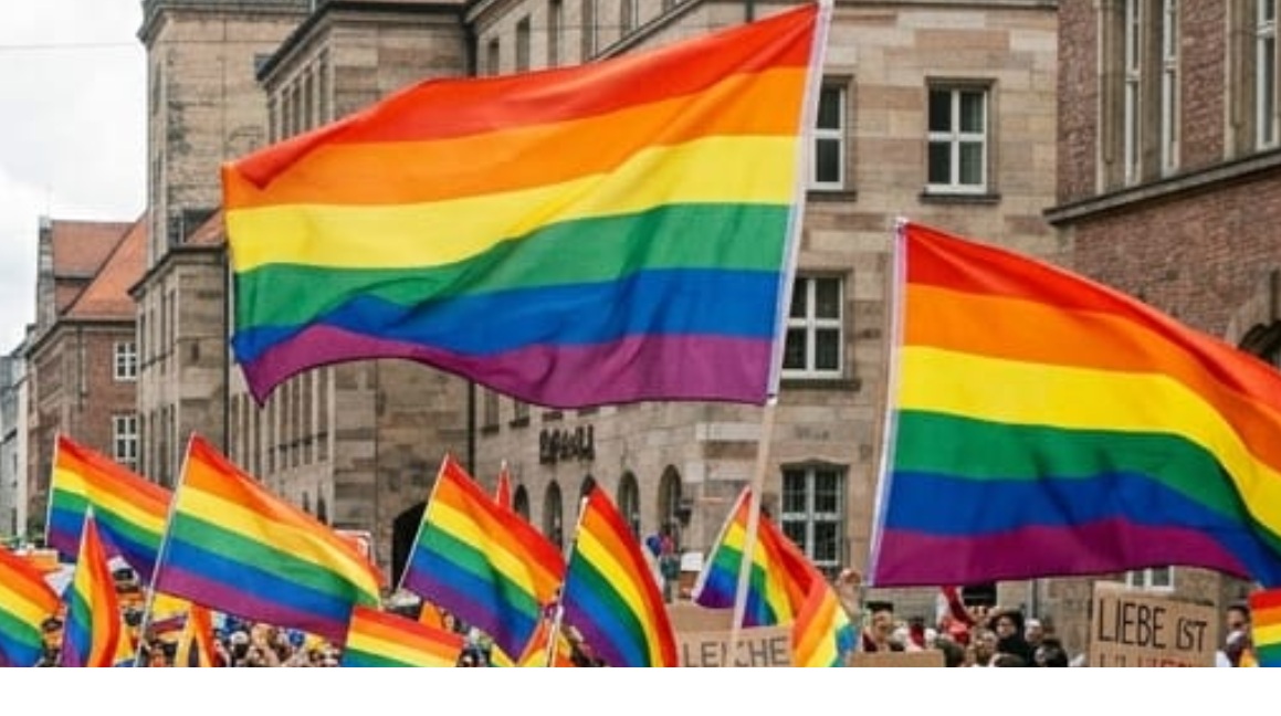 <b><span style='color:#bc2929;font-size:16px;'>Gastkommentar <br></span>Pinkwashing: Die Regenbogenfahne als Feigenblatt</b>