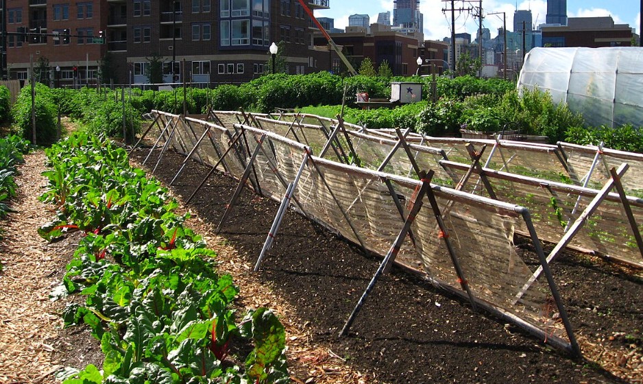 <b><span style='color:#bc2929;font-size:16px;'>Gartenbau <br></span>Urban Farming im 21. Jahrhundert: Wie smarte Botanik die Eigenversorgung revolutioniert</b>