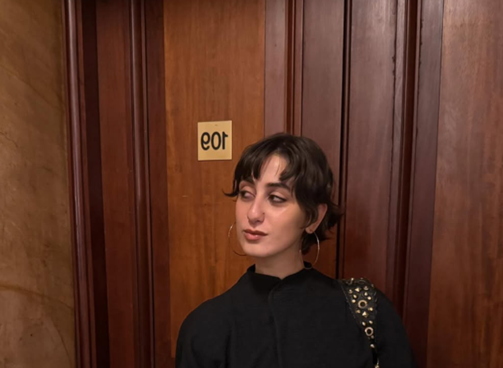 <b><span style='color:#bc2929;font-size:16px;'>New York <br></span>Israelisches Konsulat verurteilt New Yorks First Lady Rama Duwaji</b>